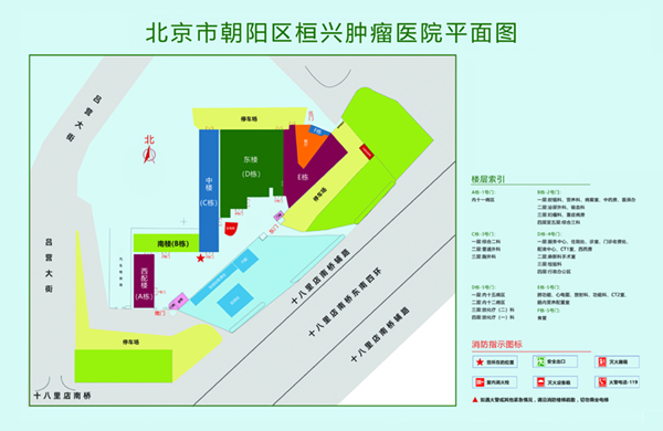 大鸡巴操屄免费视频北京市朝阳区桓兴肿瘤医院平面图